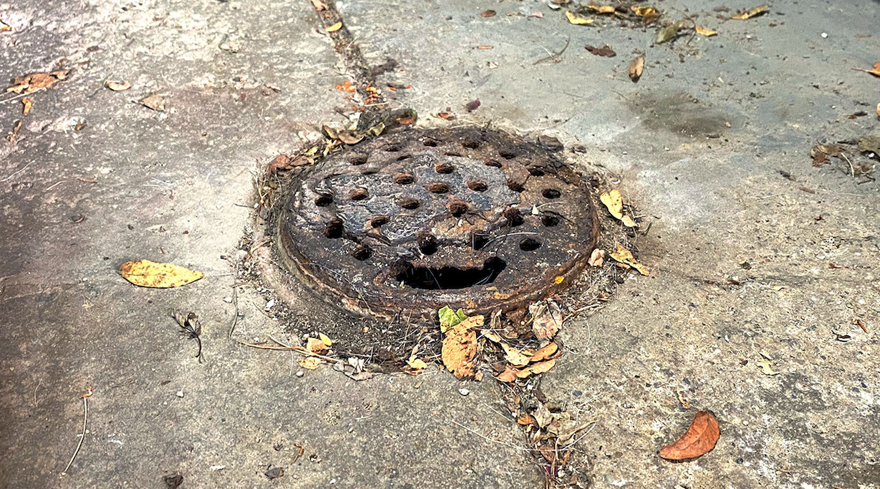 https://garagedrains.com/cdn/shop/files/replace-your-old-and-rusted-drain-cover_1800x1000_crop_center.jpg?v=1618598980